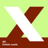 djX feat. Volmer & Rebane - Kelleks saada (Raadio)